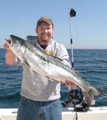  Salmon ( about 13lbs ) Caught aboard "Nicole Lynn" 41ft Viking Yacht 