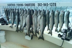 Here is the catch of the year so far 6-13-10! Huge Chinook King Salmon and a Limit catch all in one trip! Wow.. Call now for your Adventure of a Life time! Albatross Fishing Charters 262-945-1378
